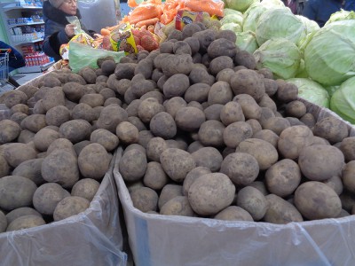 DSC09868.JPG (362.06 KiB) Visto 83291 veces DSC09868.JPG