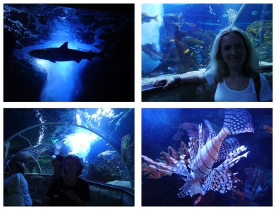 Sin título-1.jpg (1.93 MiB) Visto 37796 veces Sin título-1.jpg