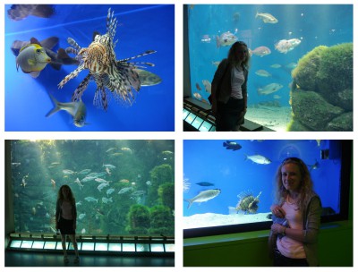 Sin título-2.jpg (1.49 MiB) Visto 37764 veces Sin título-2.jpg