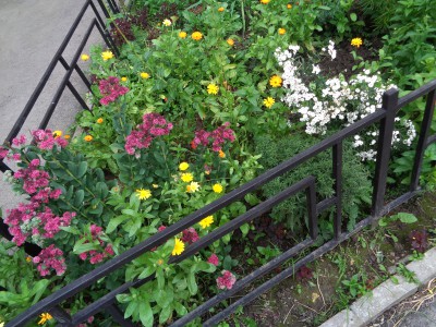 DSC03724.JPG (5.55 MiB) Visto 29252 veces DSC03724.JPG