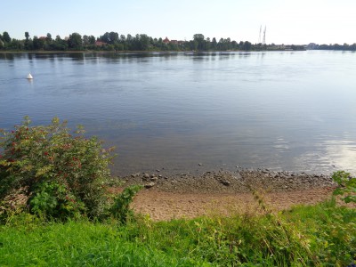 DSC03020.JPG (2.97 MiB) Visto 31813 veces DSC03020.JPG